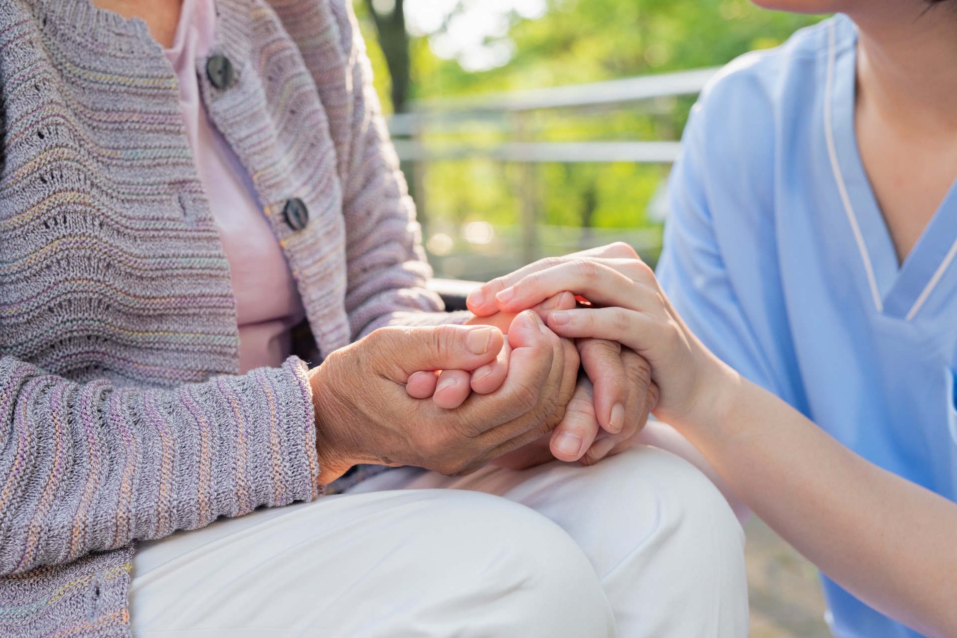 紹介コンテンツ画像